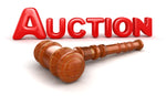 The Auctions Speak Louder Store